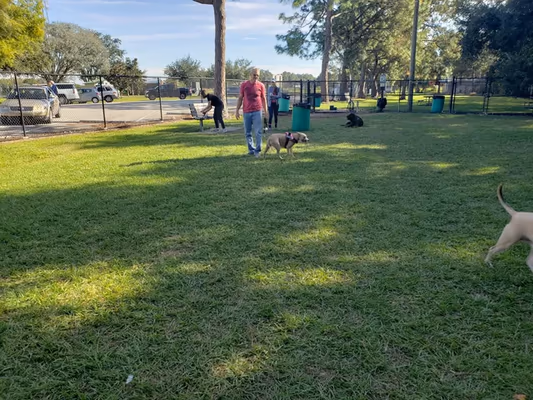 Partin Triangle Neighborhood Park photo 1
